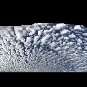 Meet your Posher, Nedra